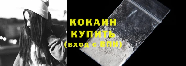 эйфоретик Бородино