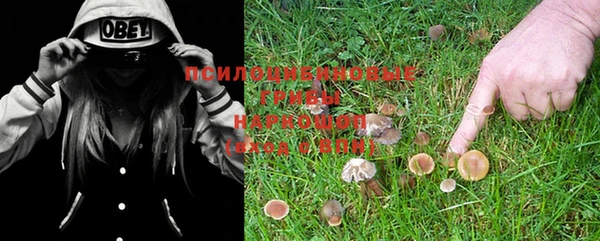 эйфоретик Бородино