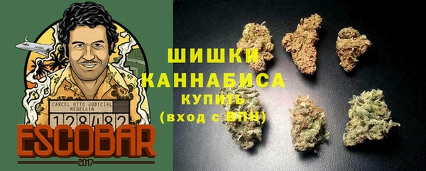 эйфоретик Бородино