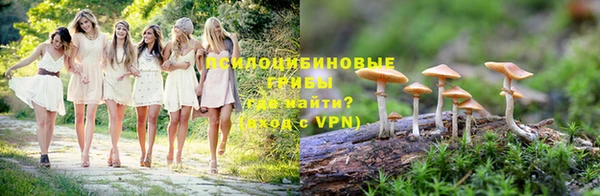 эйфоретик Бородино
