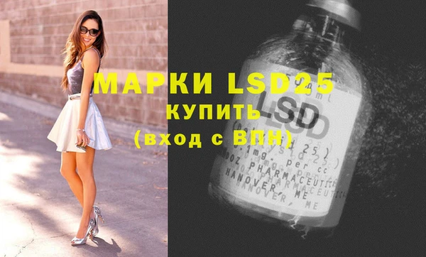 эйфоретик Бородино