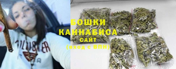 эйфоретик Бородино