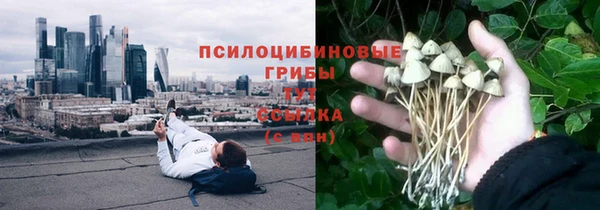 эйфоретик Бородино